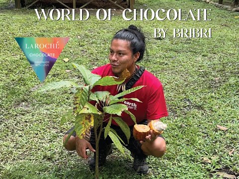 World of Chocolate by Bribri - Laroche Chocolate private tour